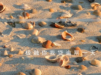 极融你我贷逾期一天 极融你我贷逾期一天