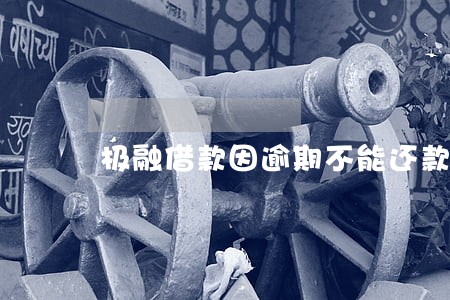 极融借款因逾期不能还款 极融借款因逾期不能还款