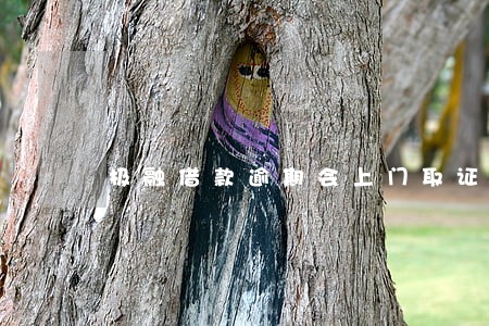 极融借款逾期会上门取证吗