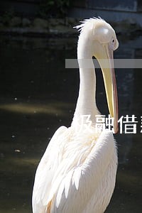 极融借款逾期费用