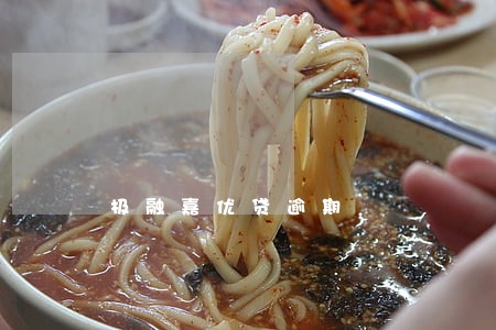 极融嘉优贷逾期 极融嘉优贷逾期