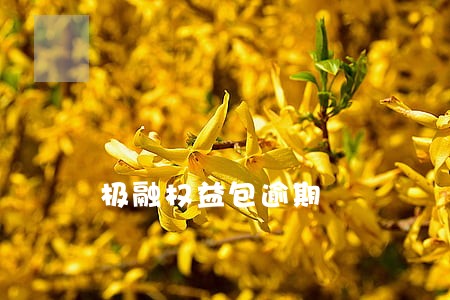 极融权益包逾期 极融权益包逾期