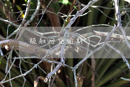 极融网贷逾期了 极融网贷逾期了