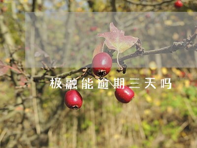 极融能逾期三天吗 极融能逾期三天吗