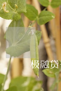 极融贷有逾期能通过吗 极融贷有逾期能通过吗