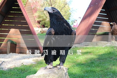 极融贷逾期后果 极融贷逾期后果