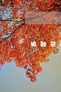 极融贷逾期有什么影响 极融贷逾期有什么影响