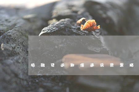 极融贷逾期爆通讯录黑猫投诉