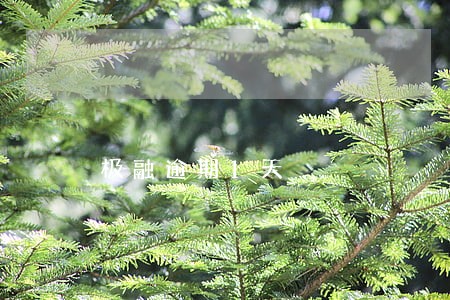 极融逾期1天 极融逾期1天