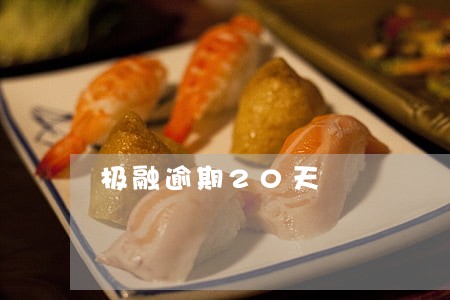 极融逾期20天 极融逾期20天