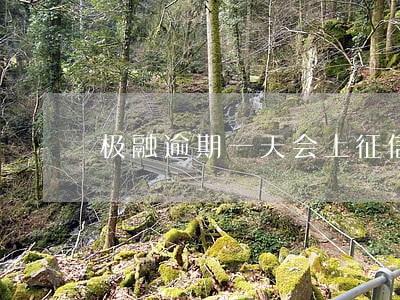 极融逾期一天会上征信吗 极融逾期一天会上征信吗