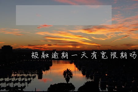极融逾期一天有宽限期吗 极融逾期一天有宽限期吗