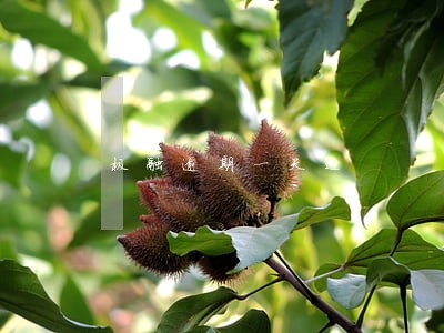 极融逾期一天还 极融逾期一天还