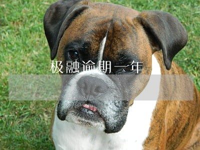 极融逾期一年 极融逾期一年