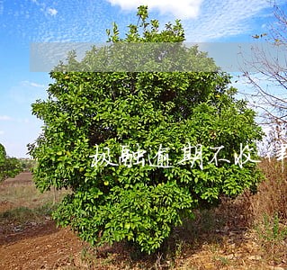 极融逾期不收律师函 极融逾期不收律师函