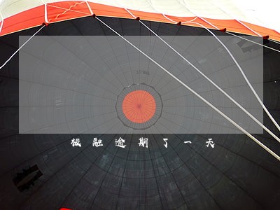 极融逾期了一天 极融逾期了一天