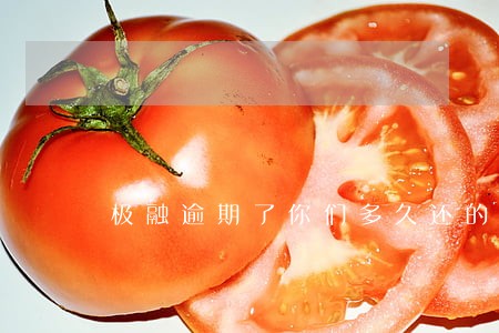 极融逾期了你们多久还的