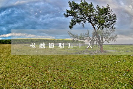 极融逾期五十天 极融逾期五十天