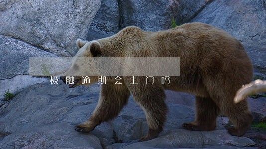极融逾期会上门吗 极融逾期会上门吗
