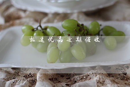 极速优品逾期催收 极速优品逾期催收