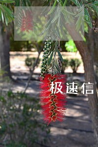 极速信用逾期不催收 极速信用逾期不催收