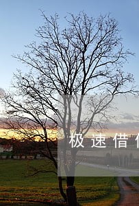 极速借你的合同即将逾期 极速借你的合同即将逾期
