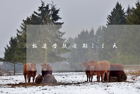 极速借款逾期12天 极速借款逾期12天