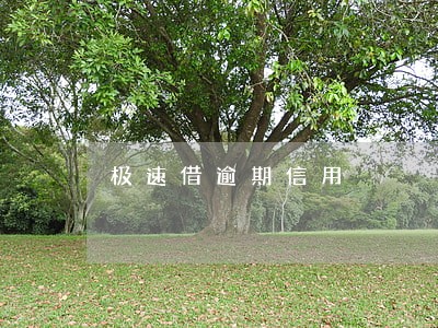 极速借逾期信用 极速借逾期信用