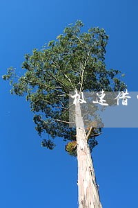 极速借钱呗逾期一天爆通讯录吗 极速借钱呗逾期一天爆通讯录吗