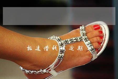 极速借钱呗逾期了