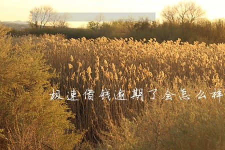 极速借钱逾期了会怎么样 极速借钱逾期了会怎么样