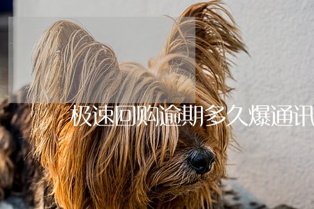 极速回购逾期多久爆通讯录 极速回购逾期多久爆通讯录