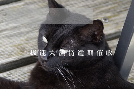 极速大额贷逾期催收 极速大额贷逾期催收