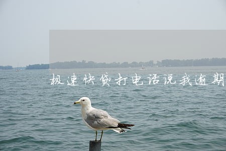 极速快贷打电话说我逾期 极速快贷打电话说我逾期