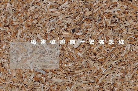 极速收逾期一天会怎样 极速收逾期一天会怎样