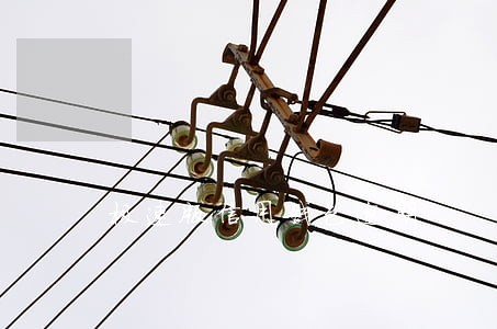 极速版信用钱包逾期 极速版信用钱包逾期