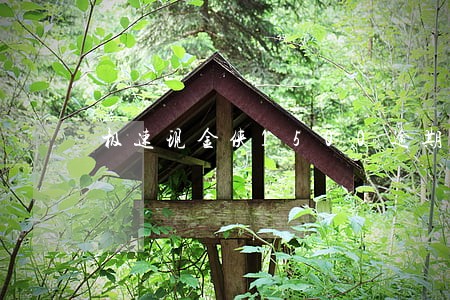 极速现金侠1500逾期
