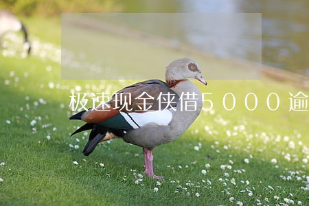 极速现金侠借5000逾期 极速现金侠借5000逾期
