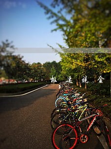 极速现金侠怎么查逾期 极速现金侠怎么查逾期