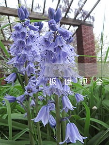 极速现金侠有逾期1年