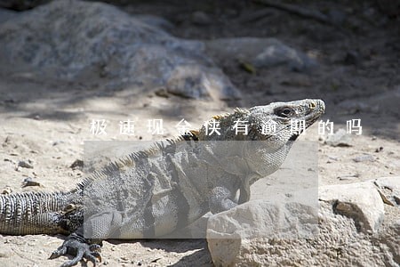 极速现金侠有逾期的吗