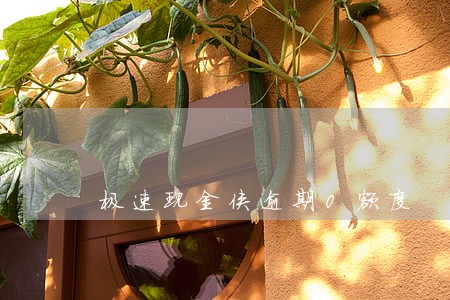 极速现金侠逾期0额度 极速现金侠逾期0额度