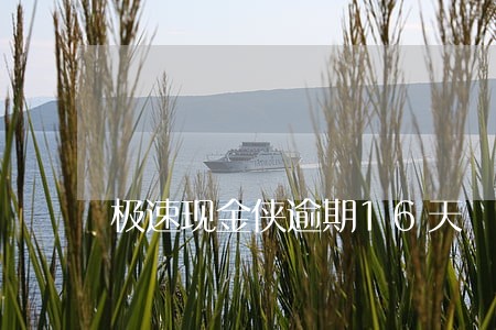 极速现金侠逾期16天 极速现金侠逾期16天