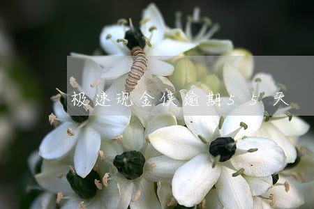 极速现金侠逾期55天 极速现金侠逾期55天