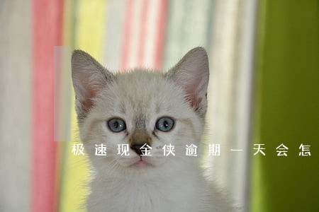 极速现金侠逾期一天会怎样 极速现金侠逾期一天会怎样