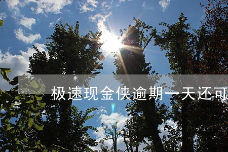 极速现金侠逾期一天还可以 极速现金侠逾期一天还可以
