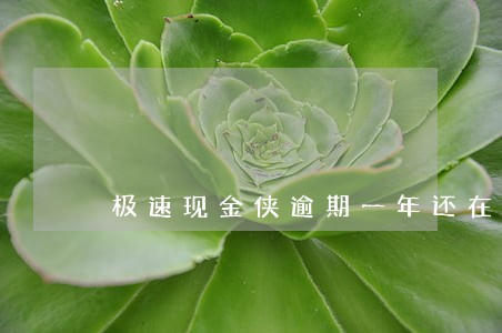 极速现金侠逾期一年还在催收 极速现金侠逾期一年还在催收