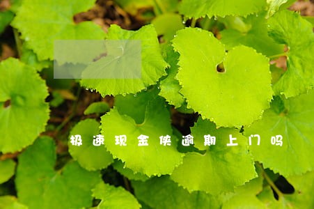 极速现金侠逾期上门吗 极速现金侠逾期上门吗