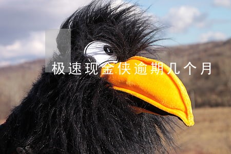 极速现金侠逾期几个月 极速现金侠逾期几个月