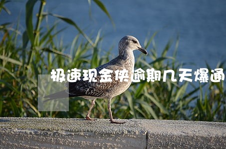 极速现金侠逾期几天爆通讯录 极速现金侠逾期几天爆通讯录